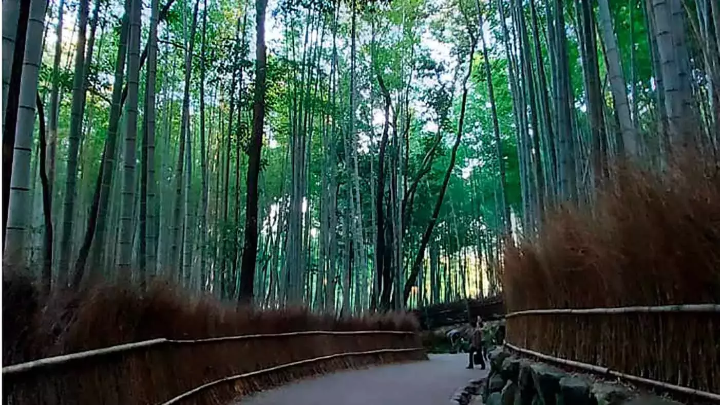 Alumnos de Tec Guadalajara plasman cultura japonesa en arte visual.