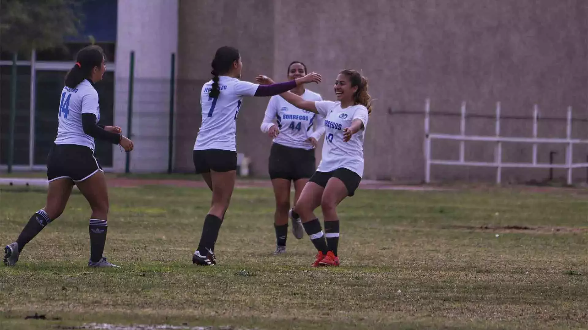 Borregos Laguna tuvo buena participación en futbol soccer femenil