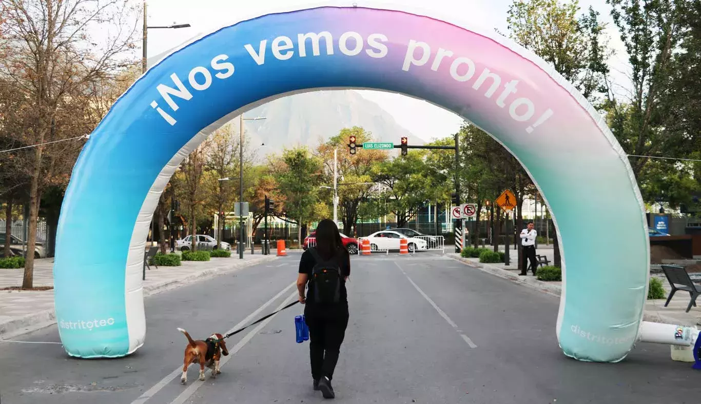 Una persona caminando junto a su mascota.