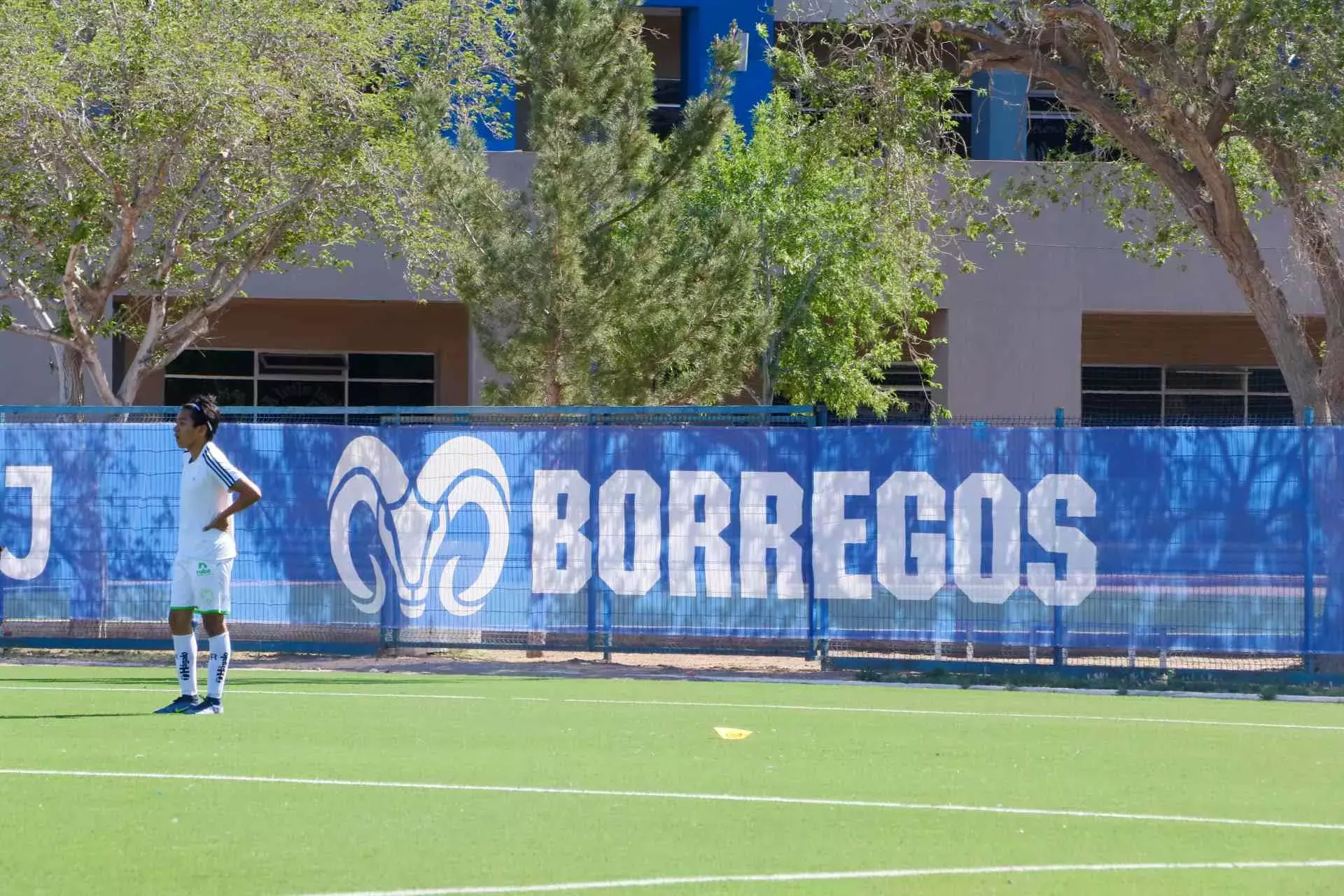 Estadio Borregos