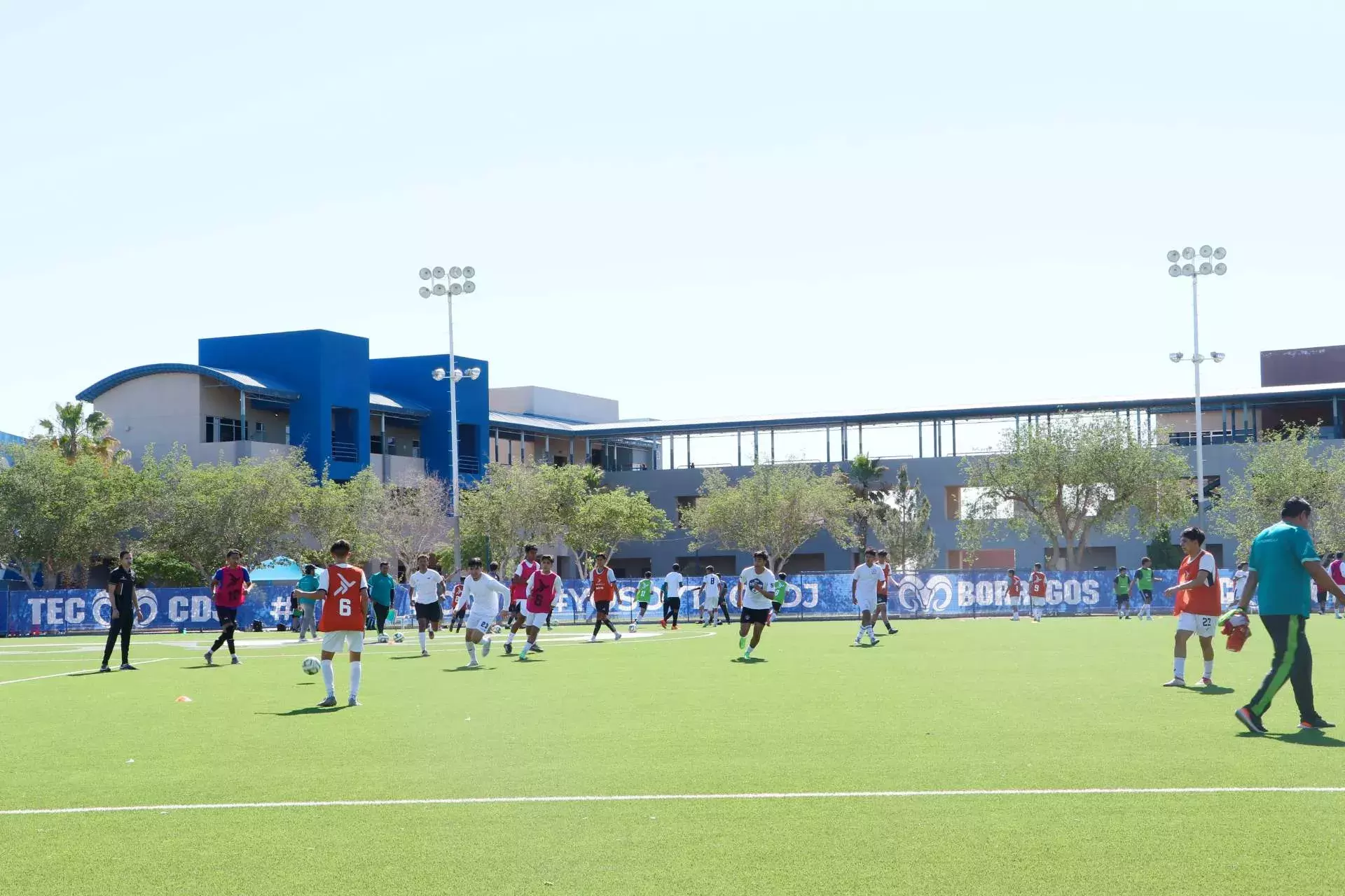 Estadio Borregos