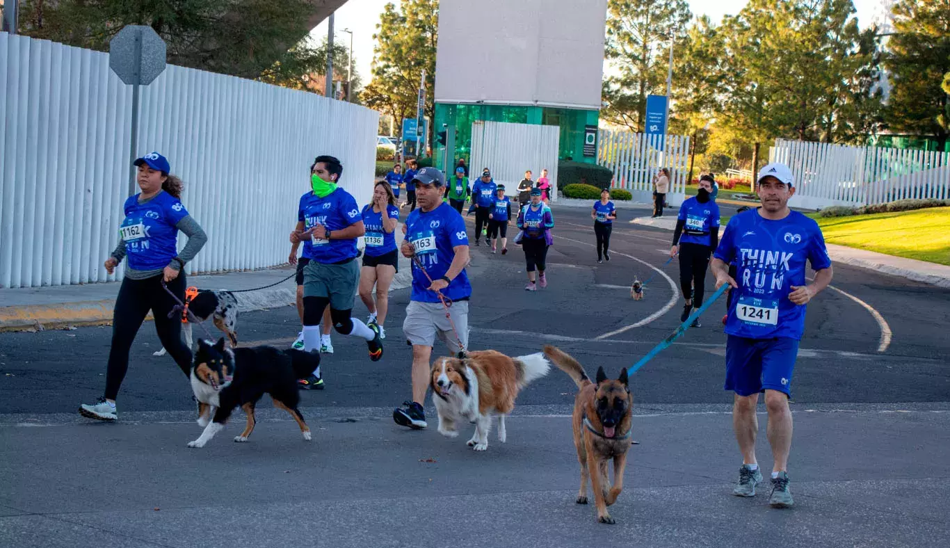 Las mascotas también fueron parte de esta carrera