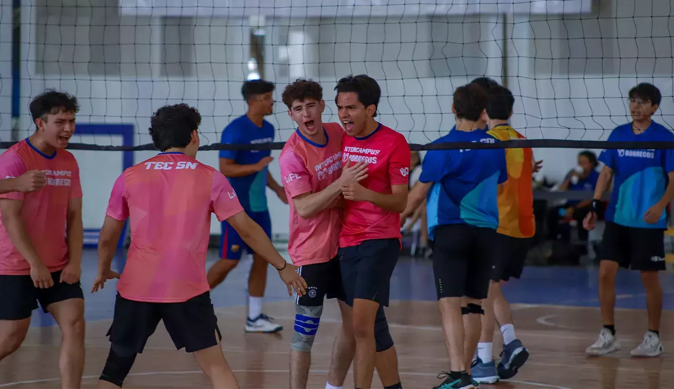 Jugadores de voleibol celebran punto. 