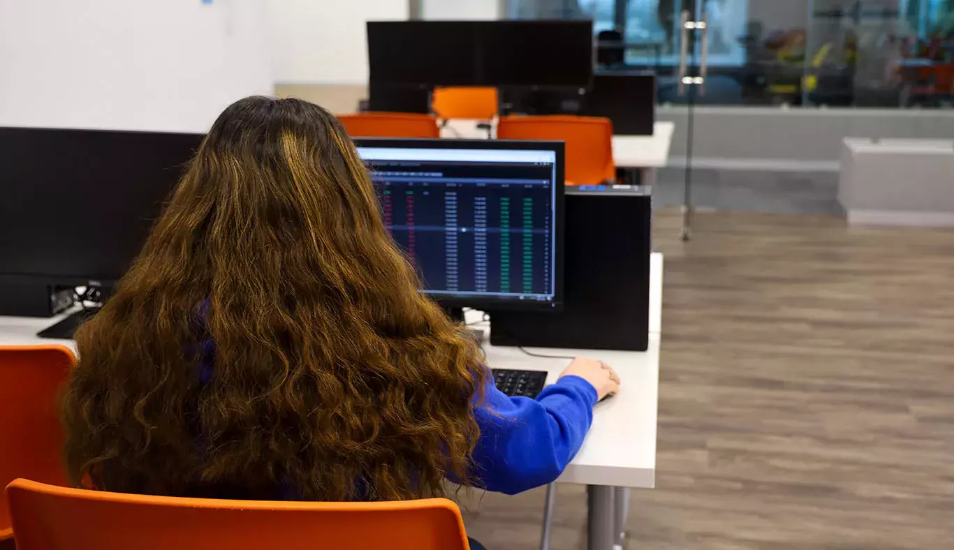 Estudiante utilizando la computadora.