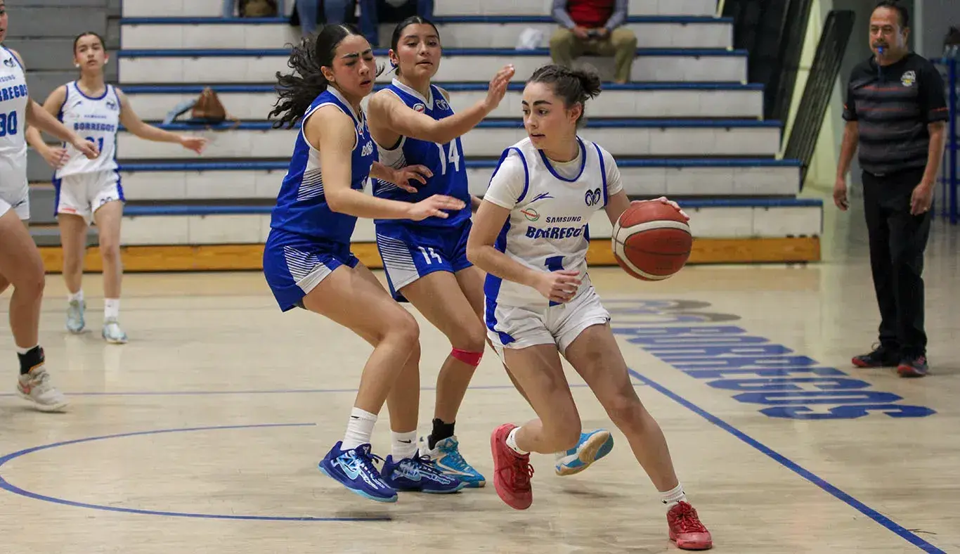 basquetbol femenil torneo regional noroeste tec