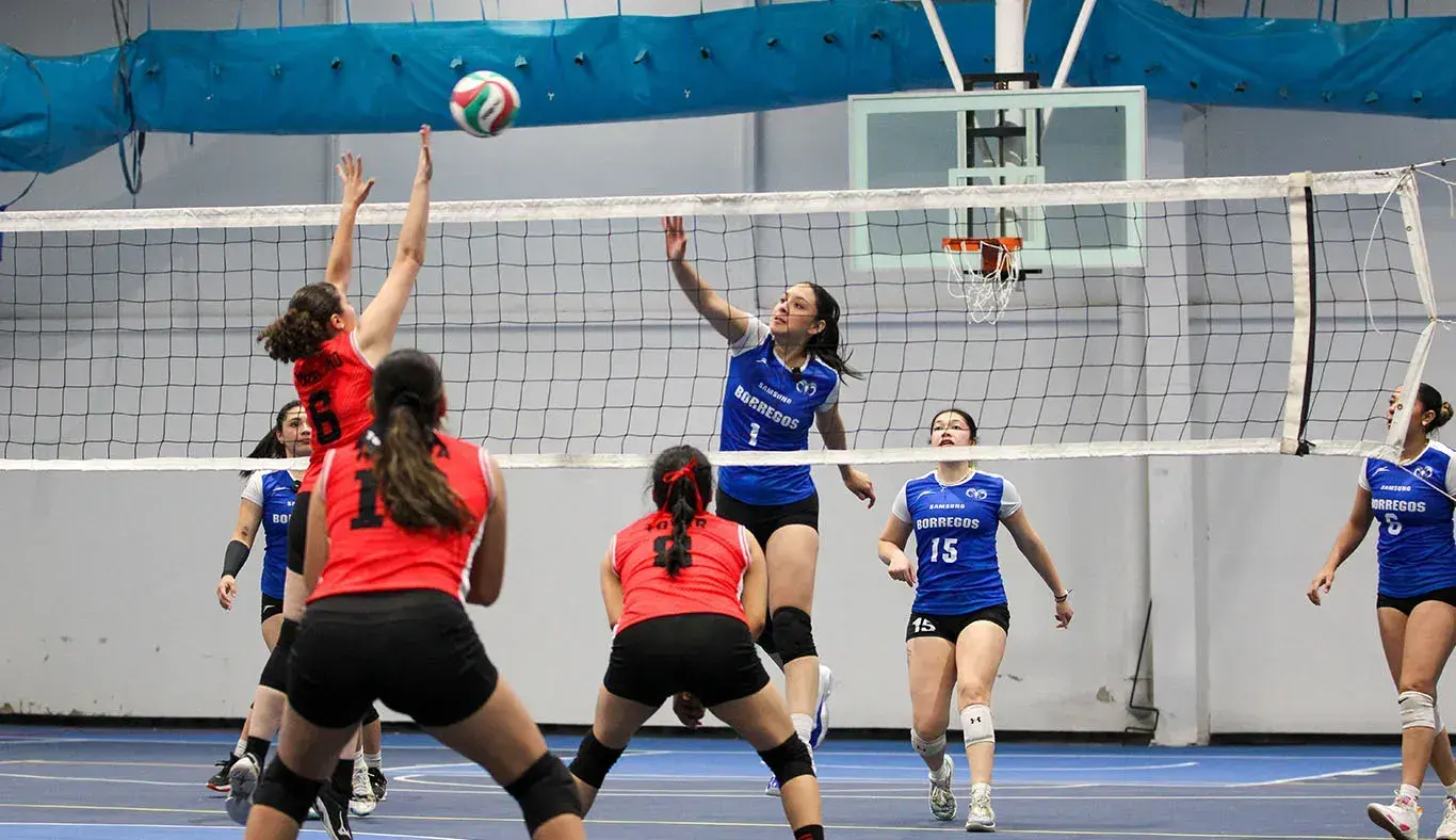 volibol femenil torneo regional noroeste tec