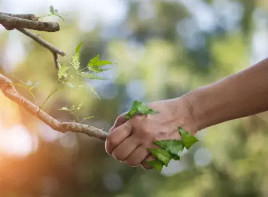 ¿Qué puedes hacer tú para cuidar el medio ambiente?