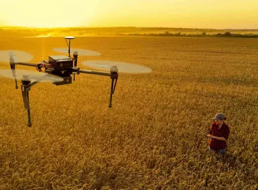 Aprendiendo a Reforestar con Drones