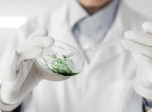 Por buscar bioplástico a partir de microalgas estudiante es reconocida