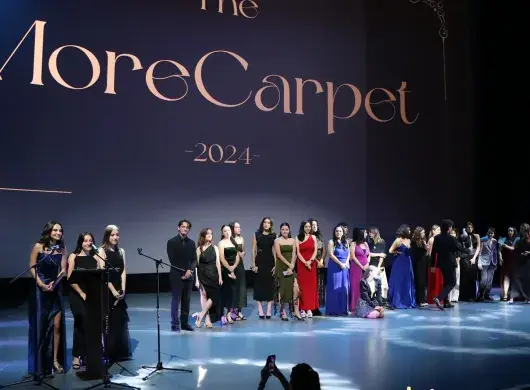 MoreCarpet 2024