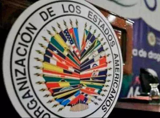 Estudiantes de PrepaTec participan en foro internacional de la Organización de Estados Americanos