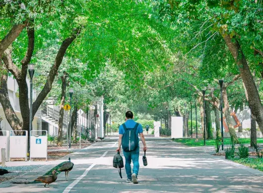 Tec de Monterrey, campus Monterrey