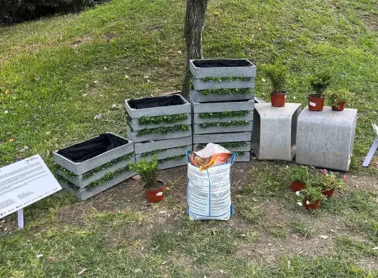 Bailando con las abejas: el jardín con IA creado por alumnos Tec