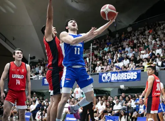 Borregos campeones en ocho grandes