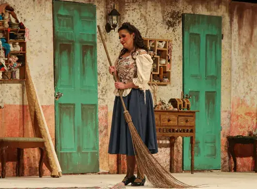 La Chica que olvidó su Zapato