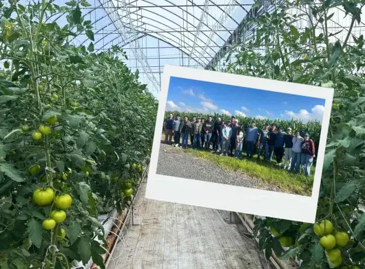 Alumnos desarrollan proyectos en innovación agrícola en el Centro de Agricultura Experimental 