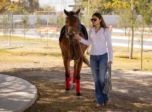 Equinoterapia en campus Hidalgo