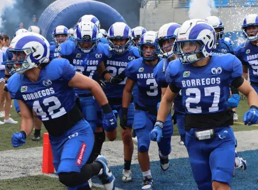 Borregos Monterrey: por el pentacampeonato de ONEFA Juvenil