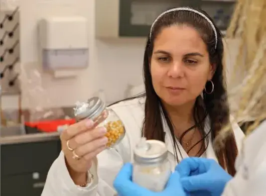 Investigación hongos comestibles.
