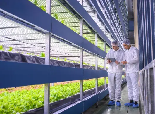El Tec de Monterrey campus Querétaro concluye programa ARISE de vinculación agroalimentaria.