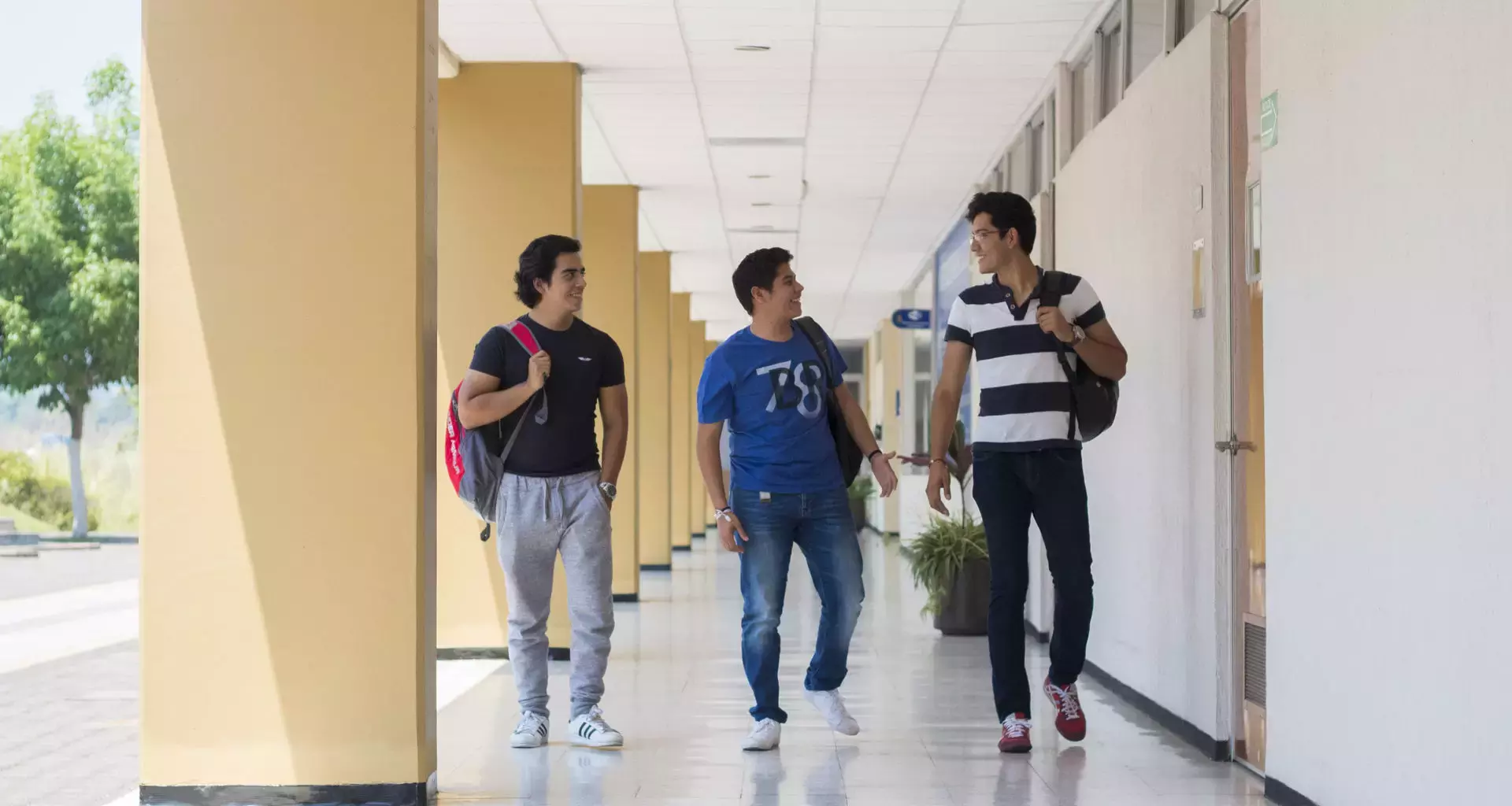 Campus Veracruz