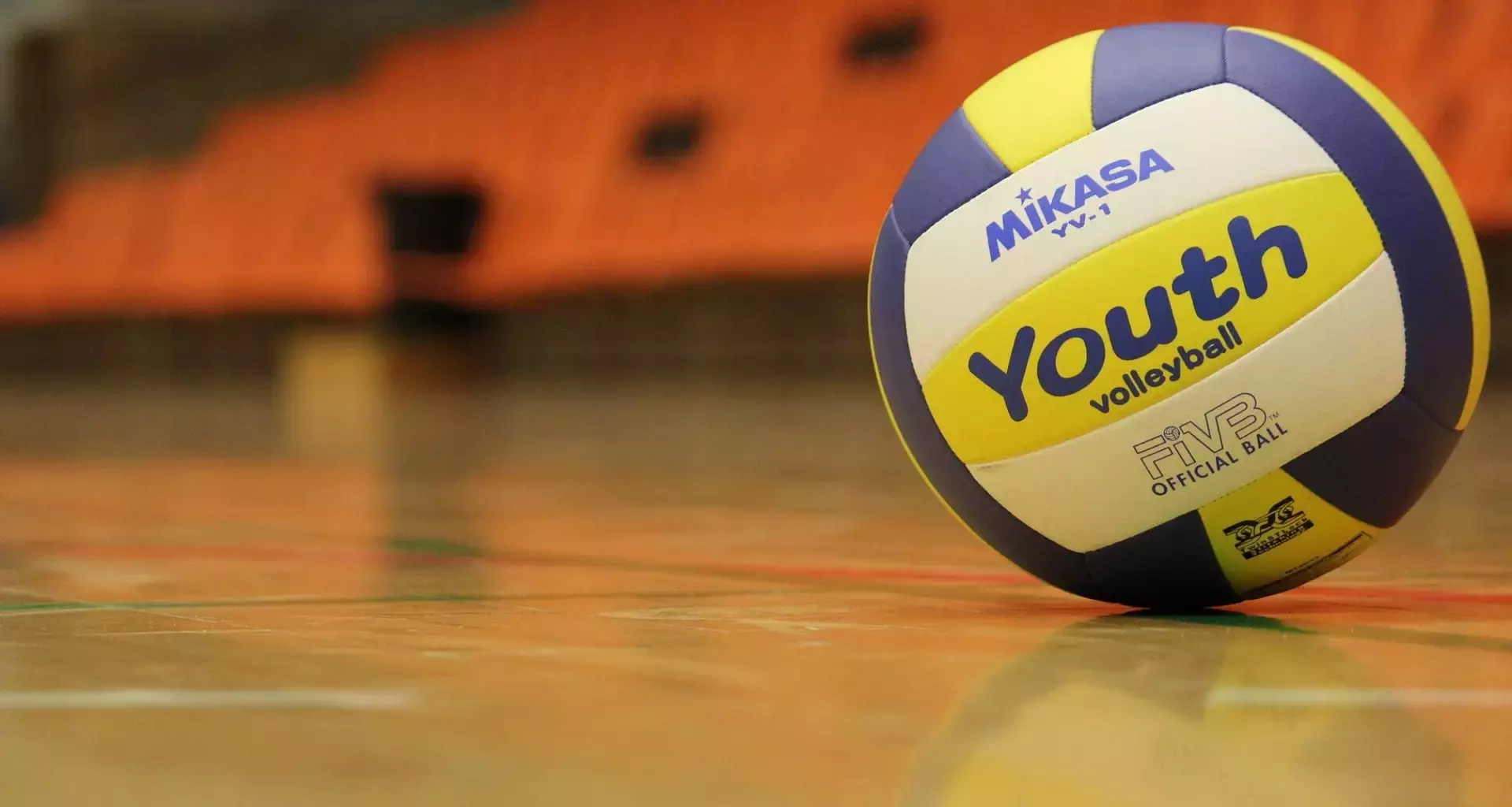 Liga Promocional de Voleibol