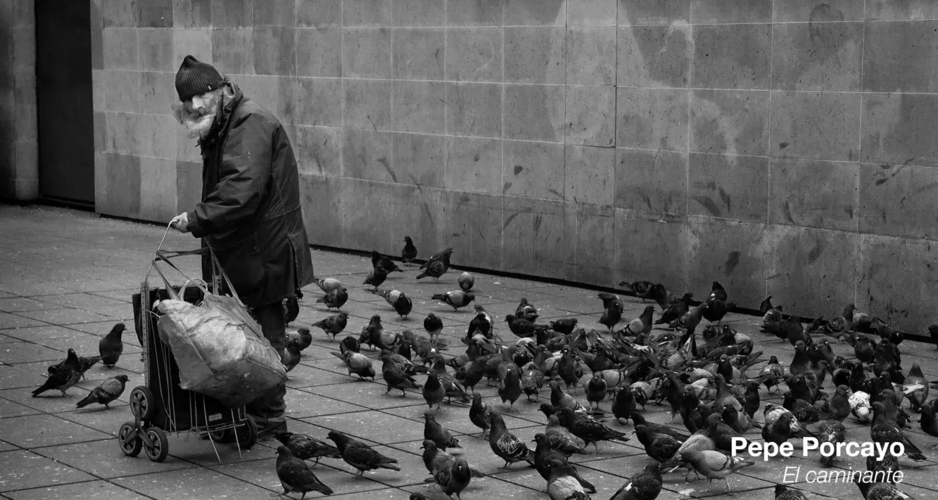 Profesor gana premio de fotografía y representará a México en mundial