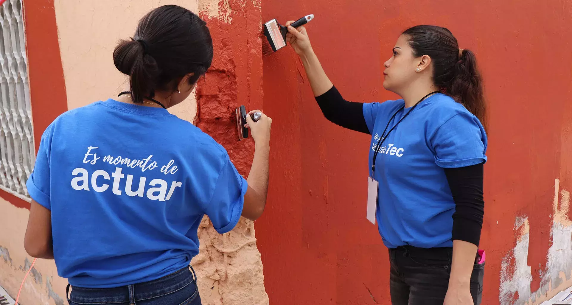 Voluntariado Laguna