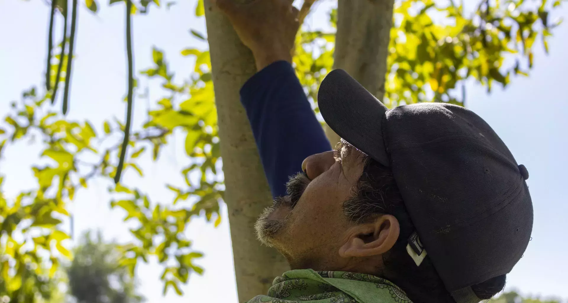 Diego a lado de un árbol 