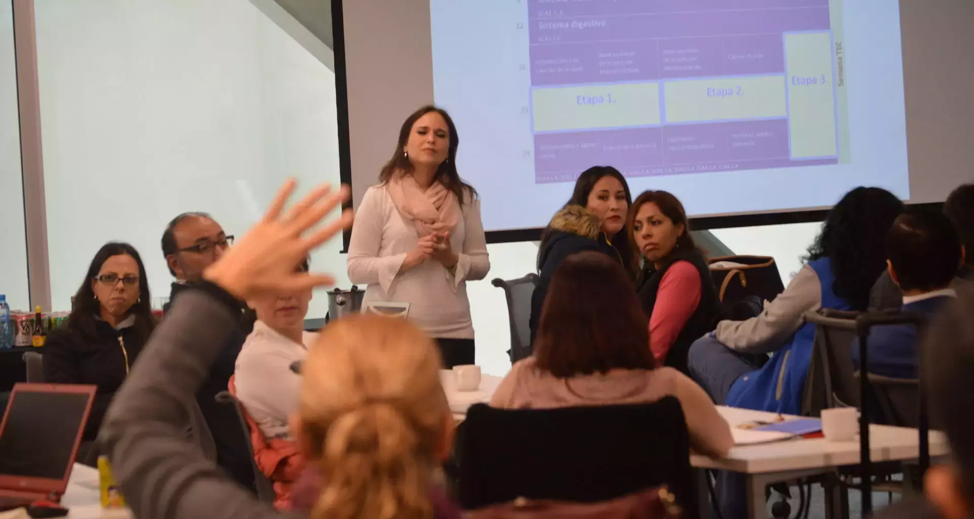 Taller de Transferencia de Unidades de Formación