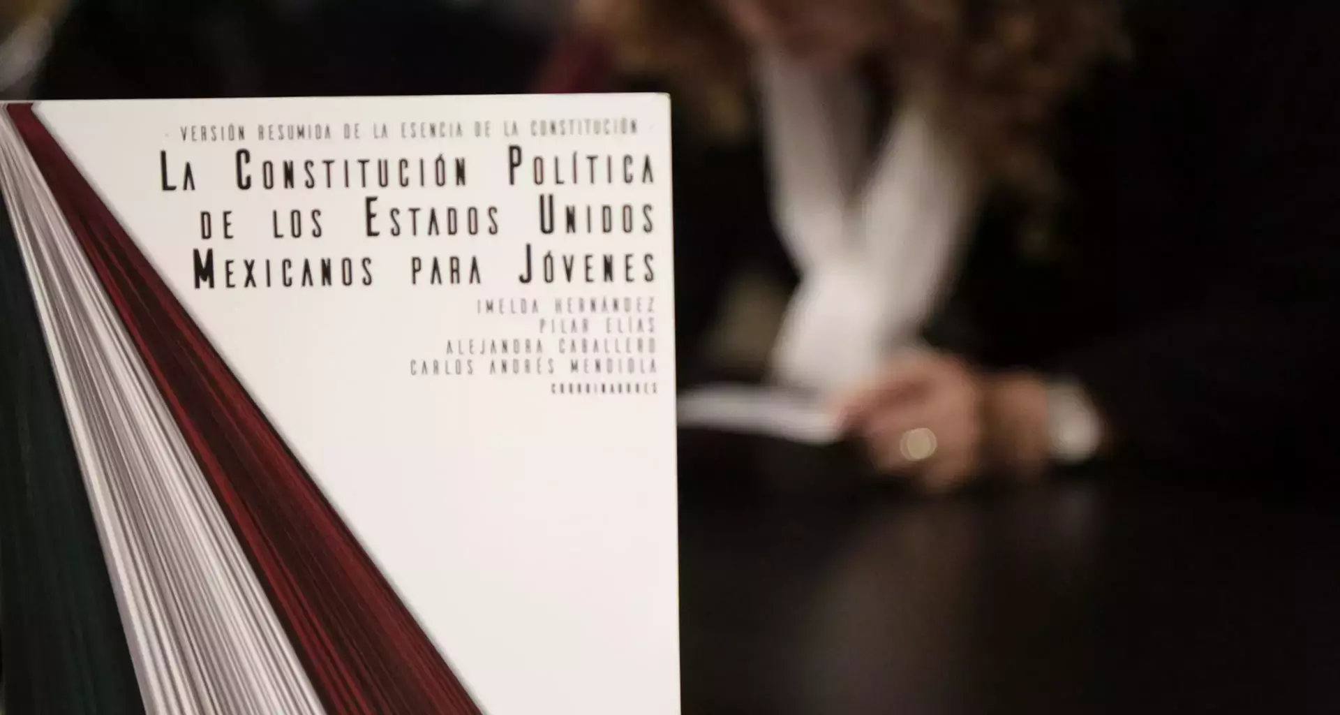 libro constitución para jóvenes