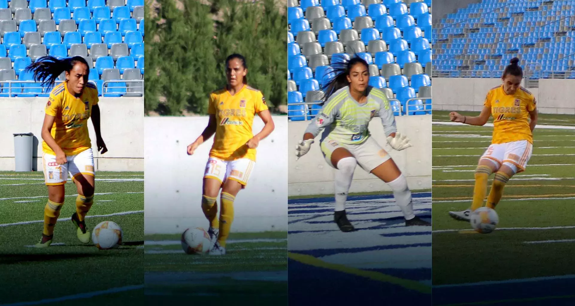 Reconoce Tec a ex Borregas campeonas de la Liga MX Femenil