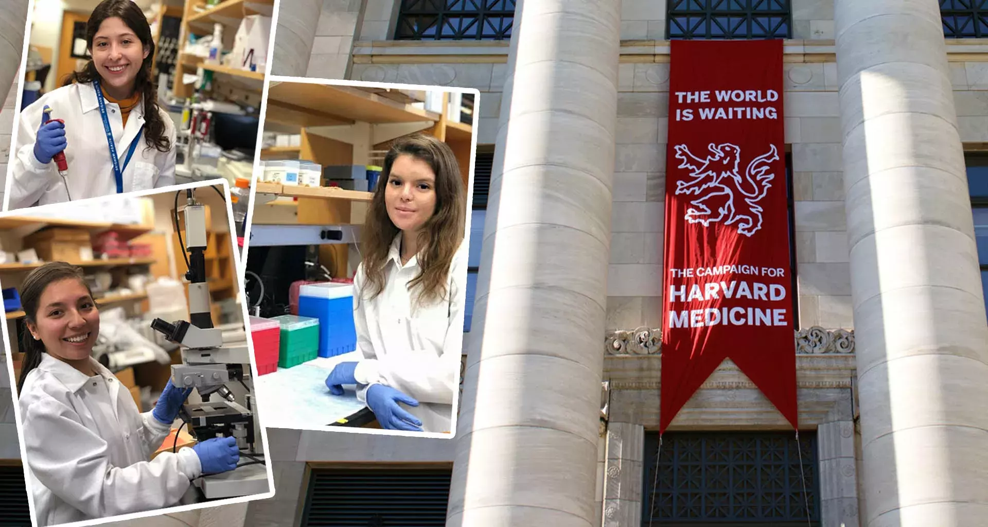 Estudiantes del Tec realizan estancias de investigación en Harvard