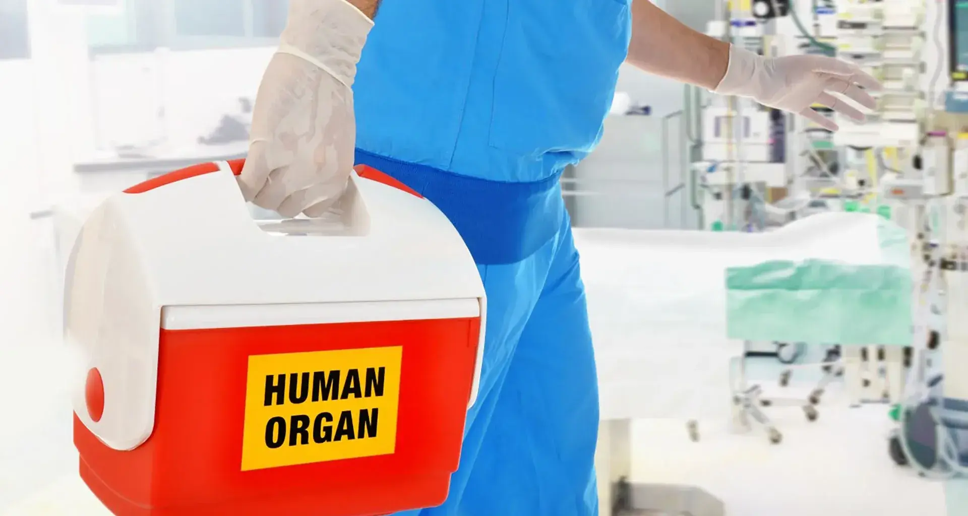 Donación_Órganos