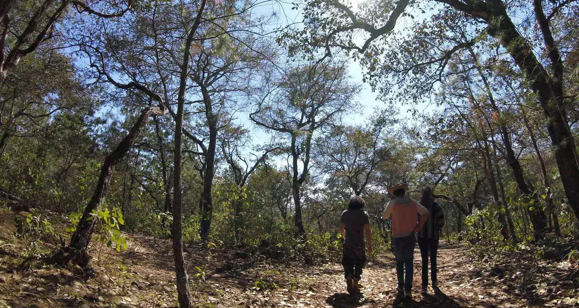 Rutopía: el Airbnb del ecoturismo mexicano va por un millón de dólares