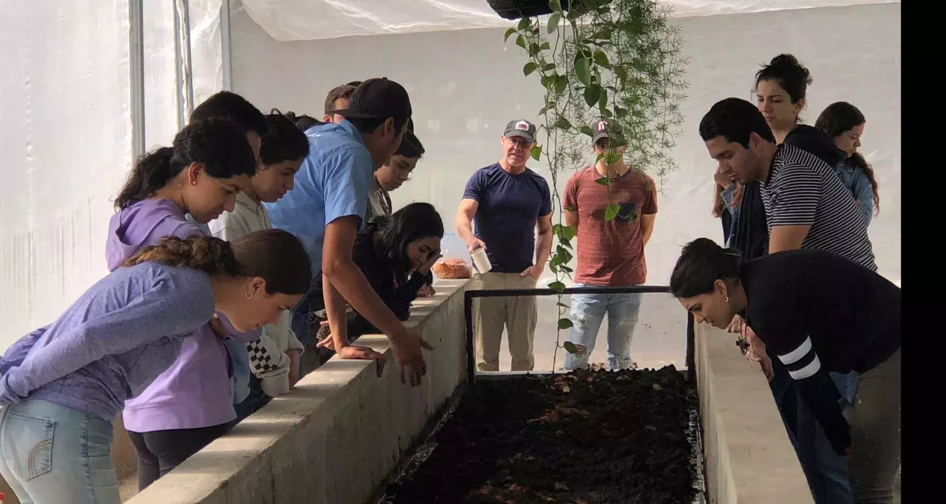 Arbolado Inteligente y Urbanismo en el Tec