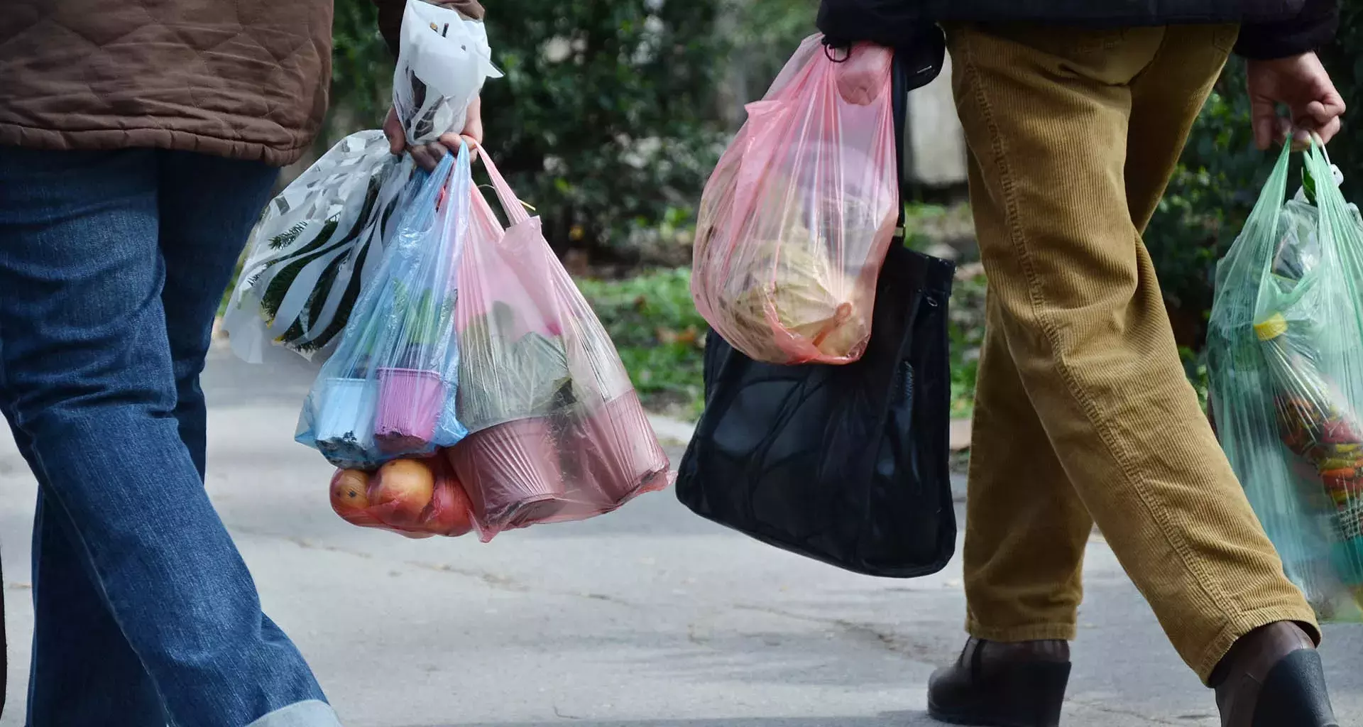 Prohibición de bolsas de plástico