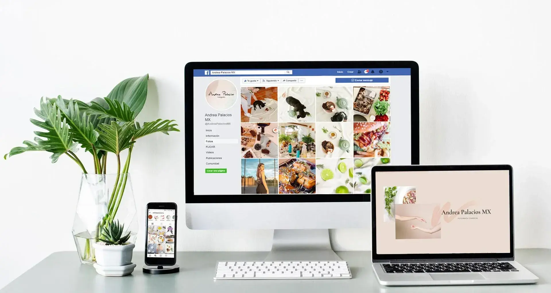 paginas de inicio de instagram y facebook de la marca Andrea Palacios Fotografia