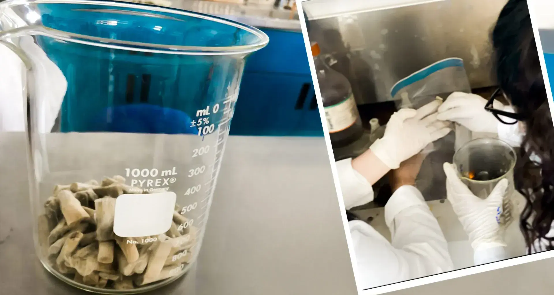 These women get rid of cigarette butts and turn them into bioplastic