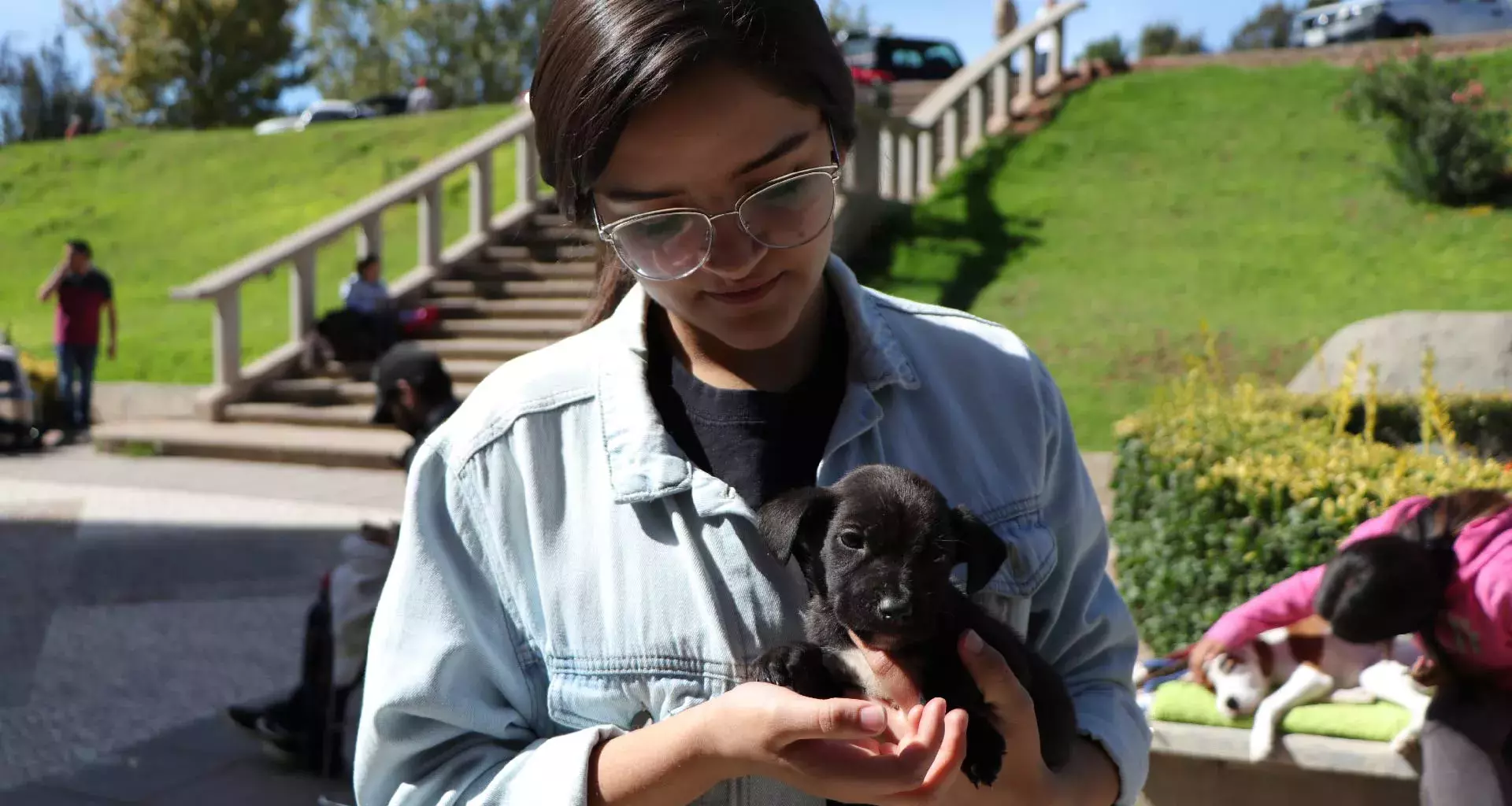 emperratec-es-un-grupo-estudiantil-que-ayuda-animales-tec-monterrey-zacatecas