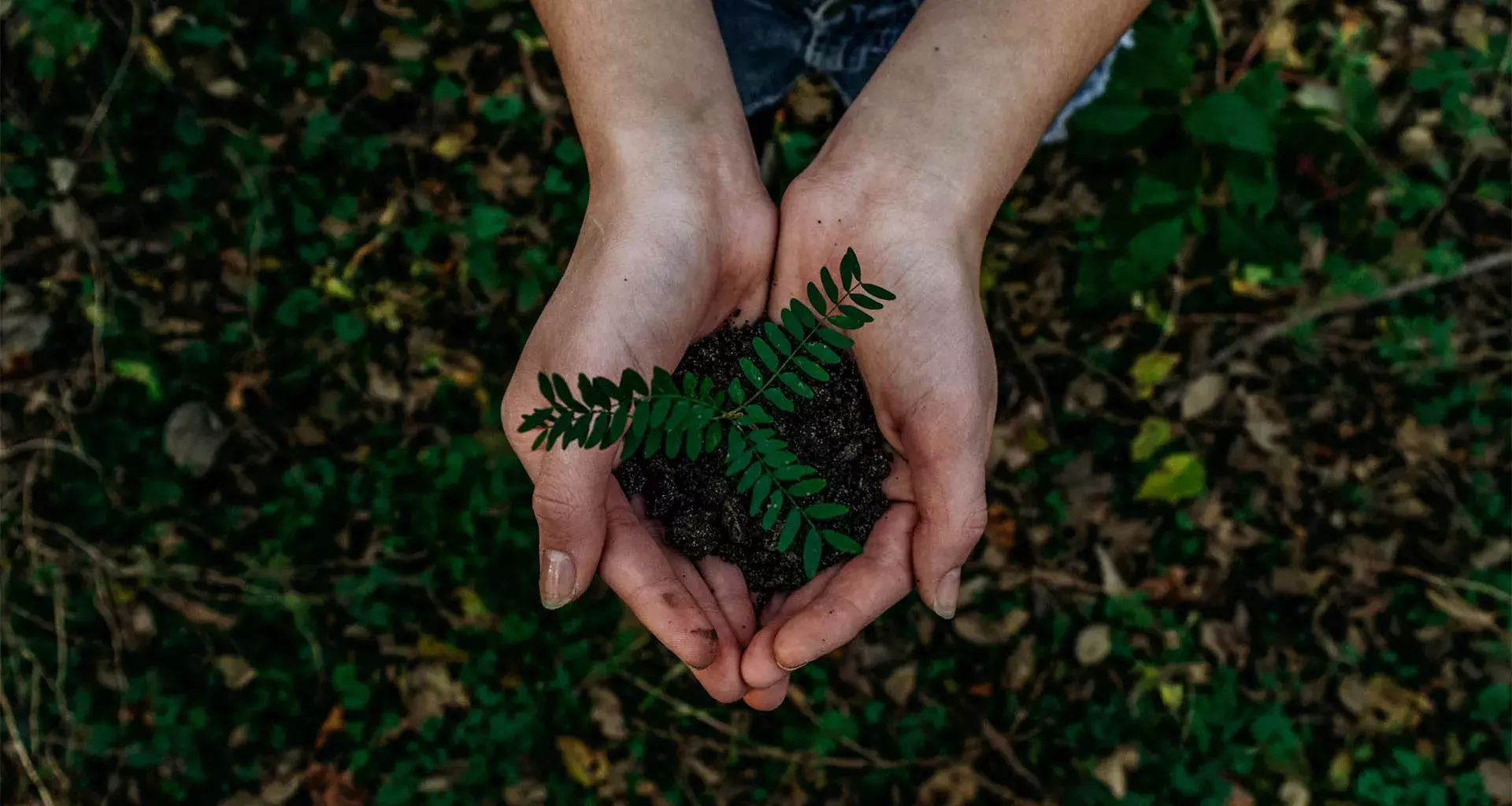 Promesa, la empresa mexicana que cambió la educación ambiental