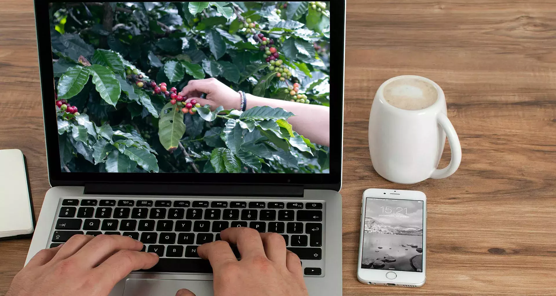 Aprendizaje con aroma a café y cacao. Capacita Tec a agroemprendedores