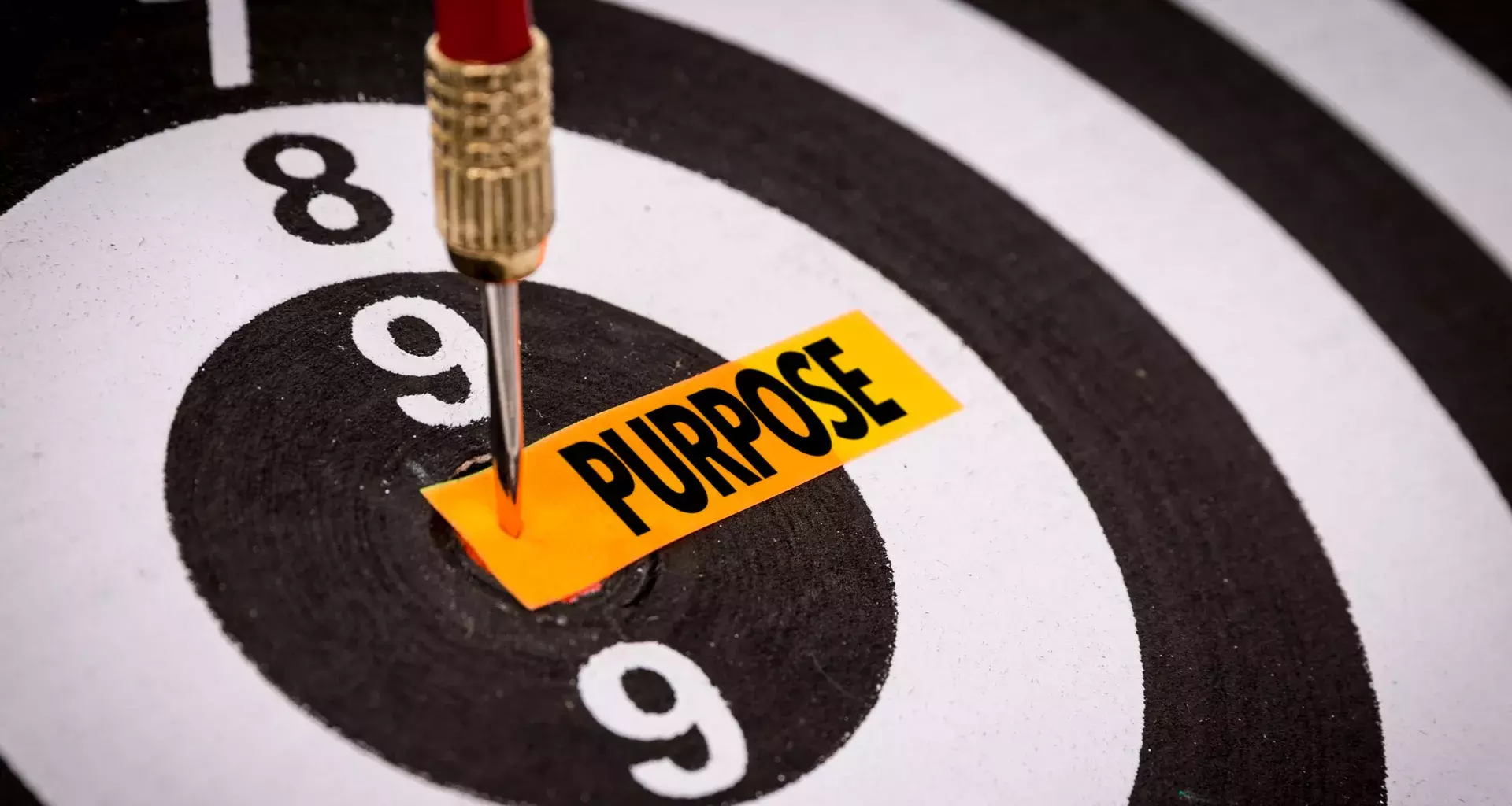 Expert advice to help you to find your purpose in life