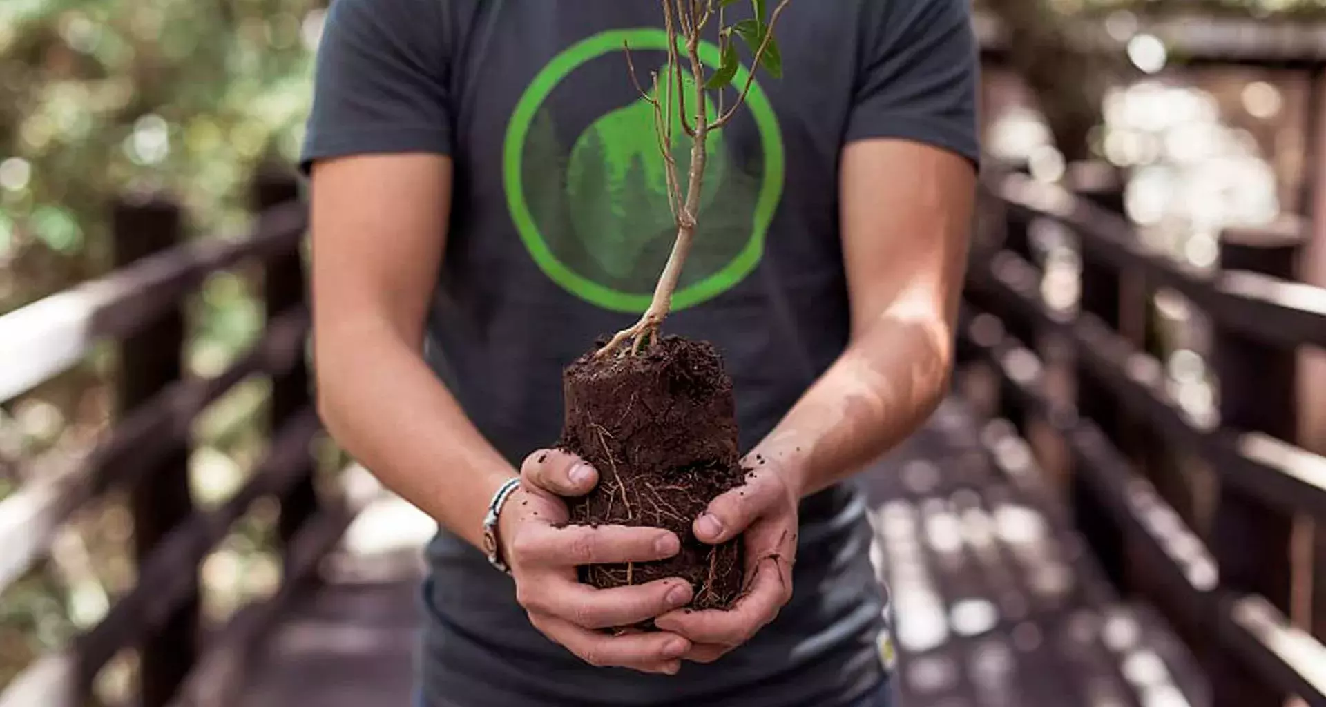 Green hug, una idea para el medio ambiente. 