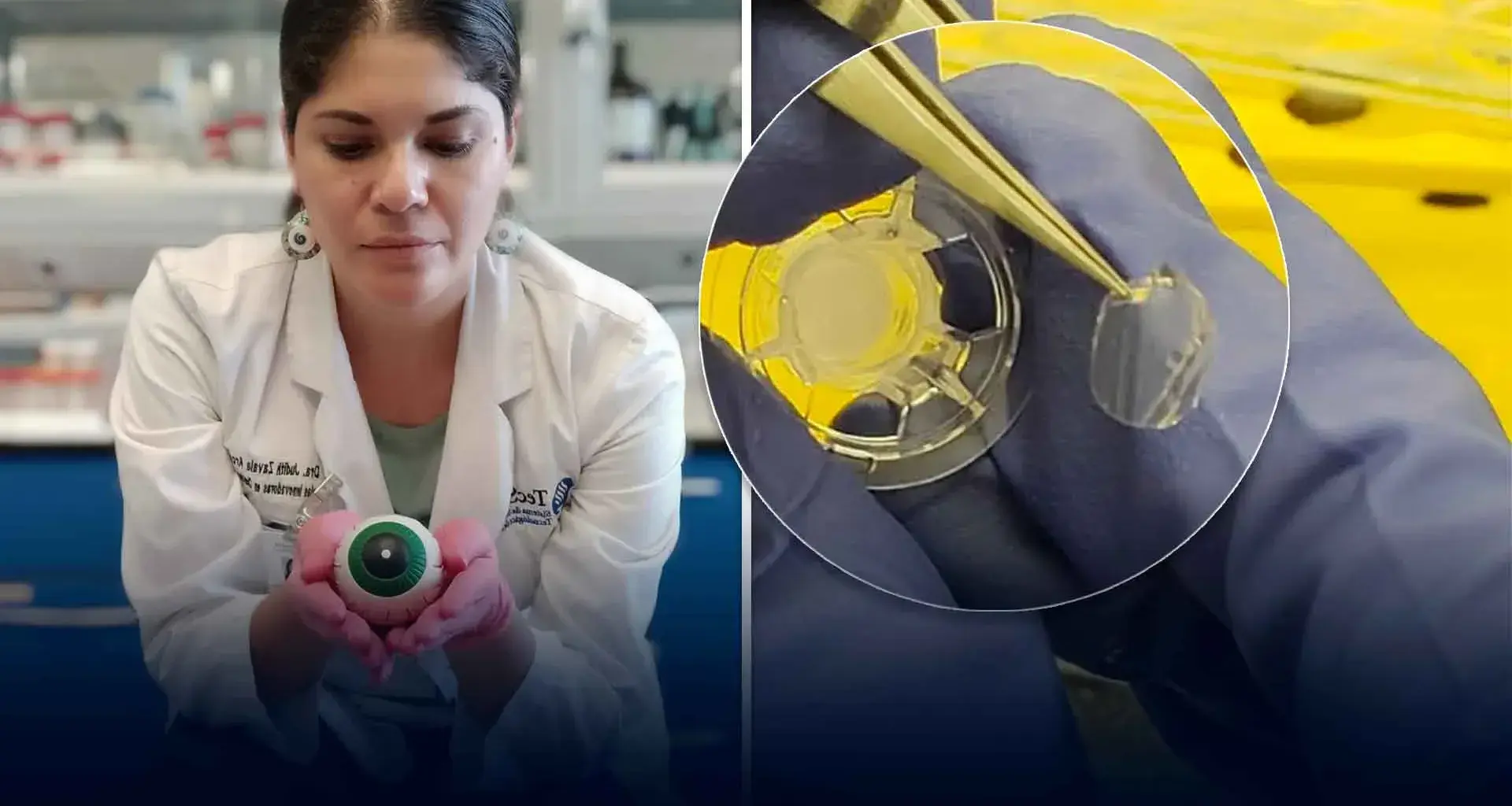 Mexican female scientist wins award for research on curing blindness