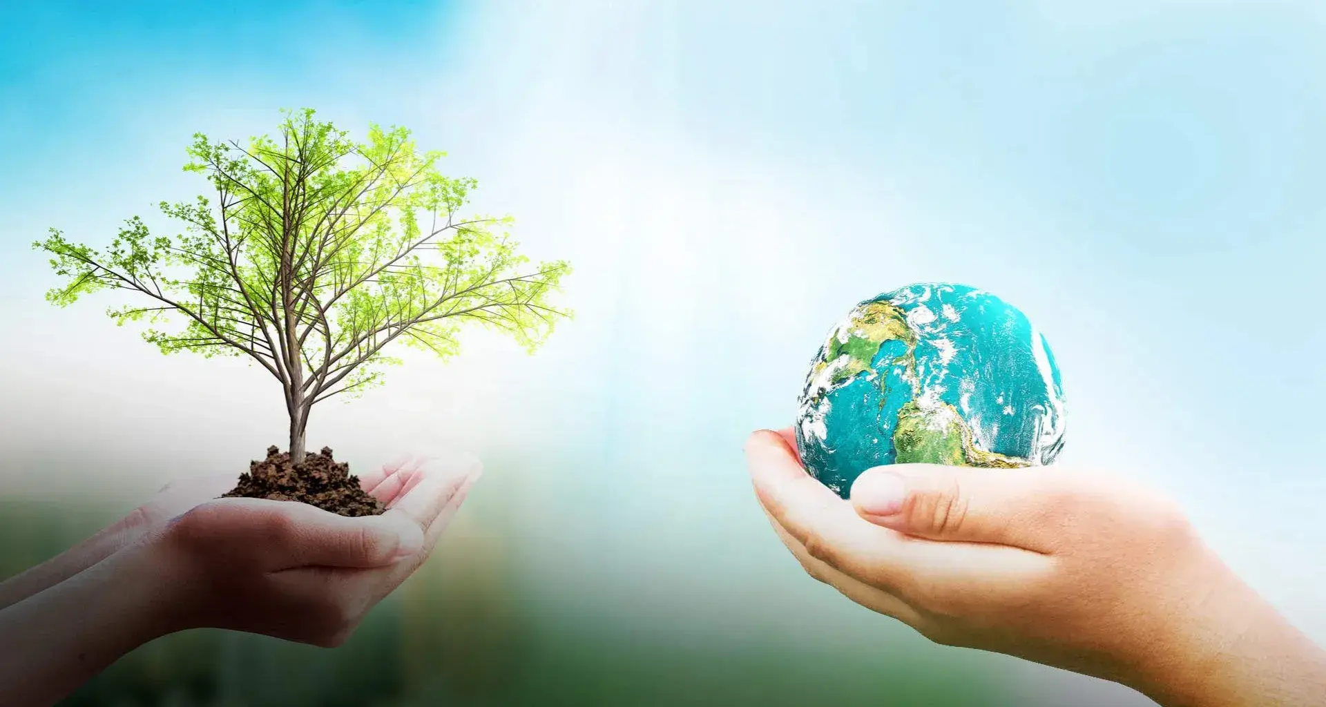 Tec de Monterrey presents its sustainability and climate change plan