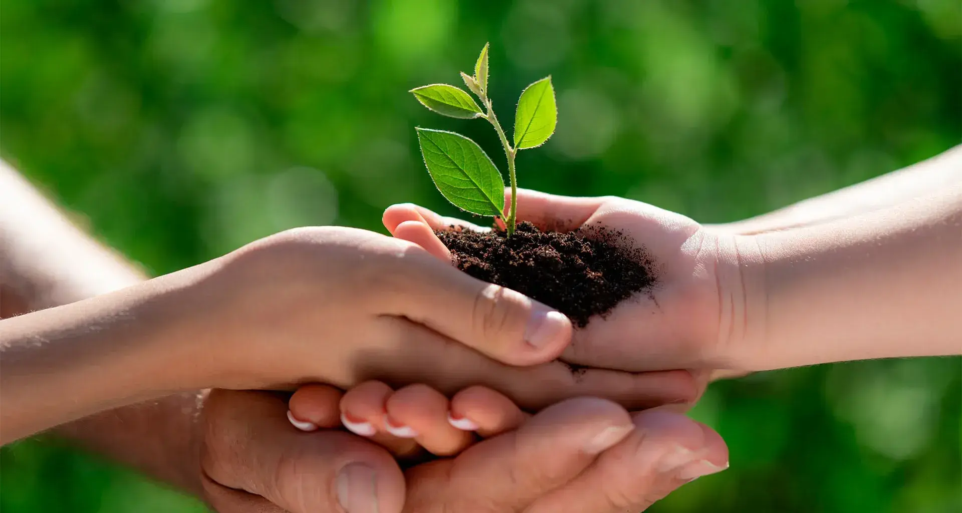 Activista climática mexicana y profesora Tec es premiada por su labor