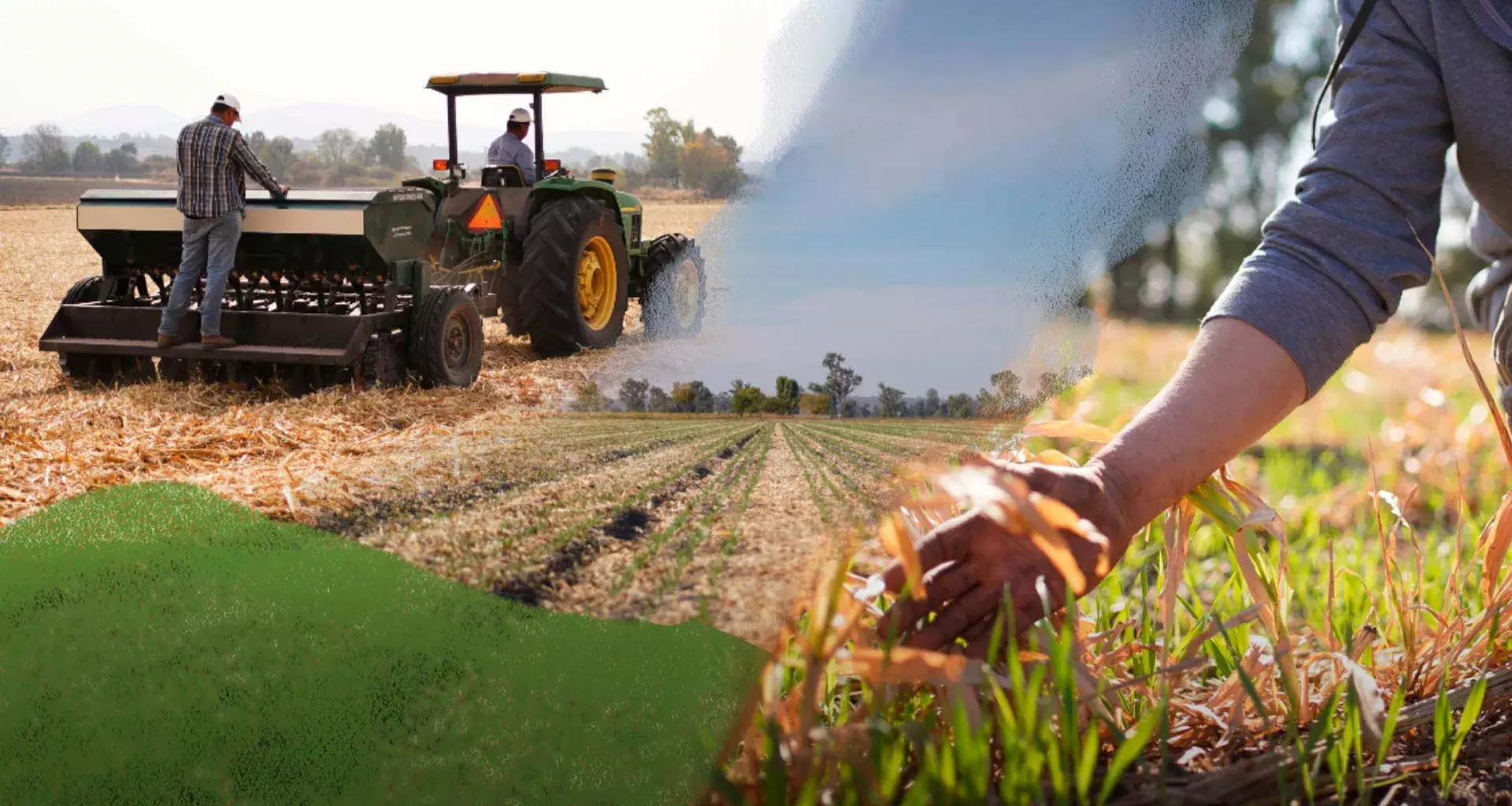 La cuarta edición del Heineken Green Challenge se enfocó en agricultura sustentable.