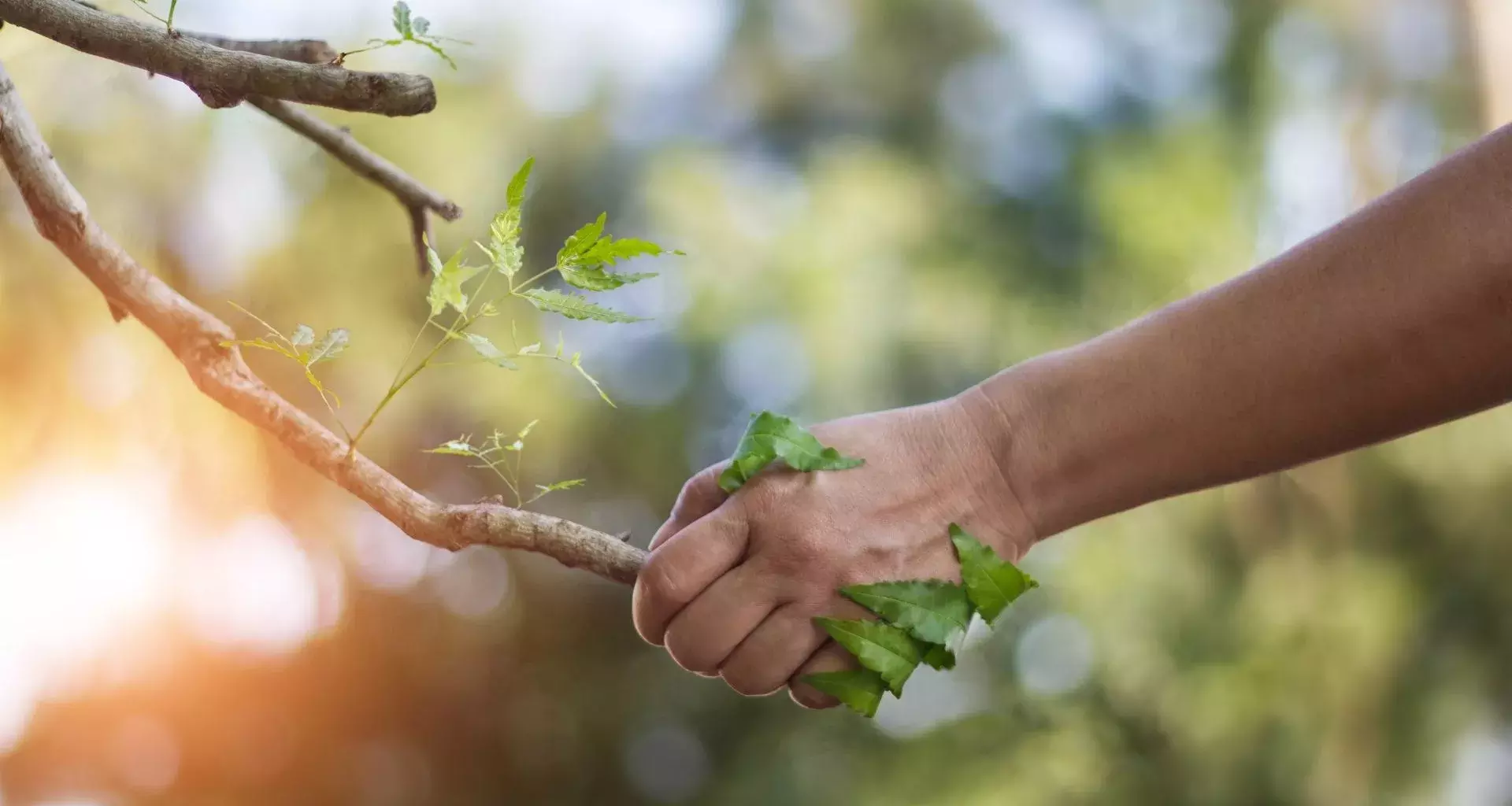 ¿Qué puedes hacer tú para cuidar el medio ambiente?