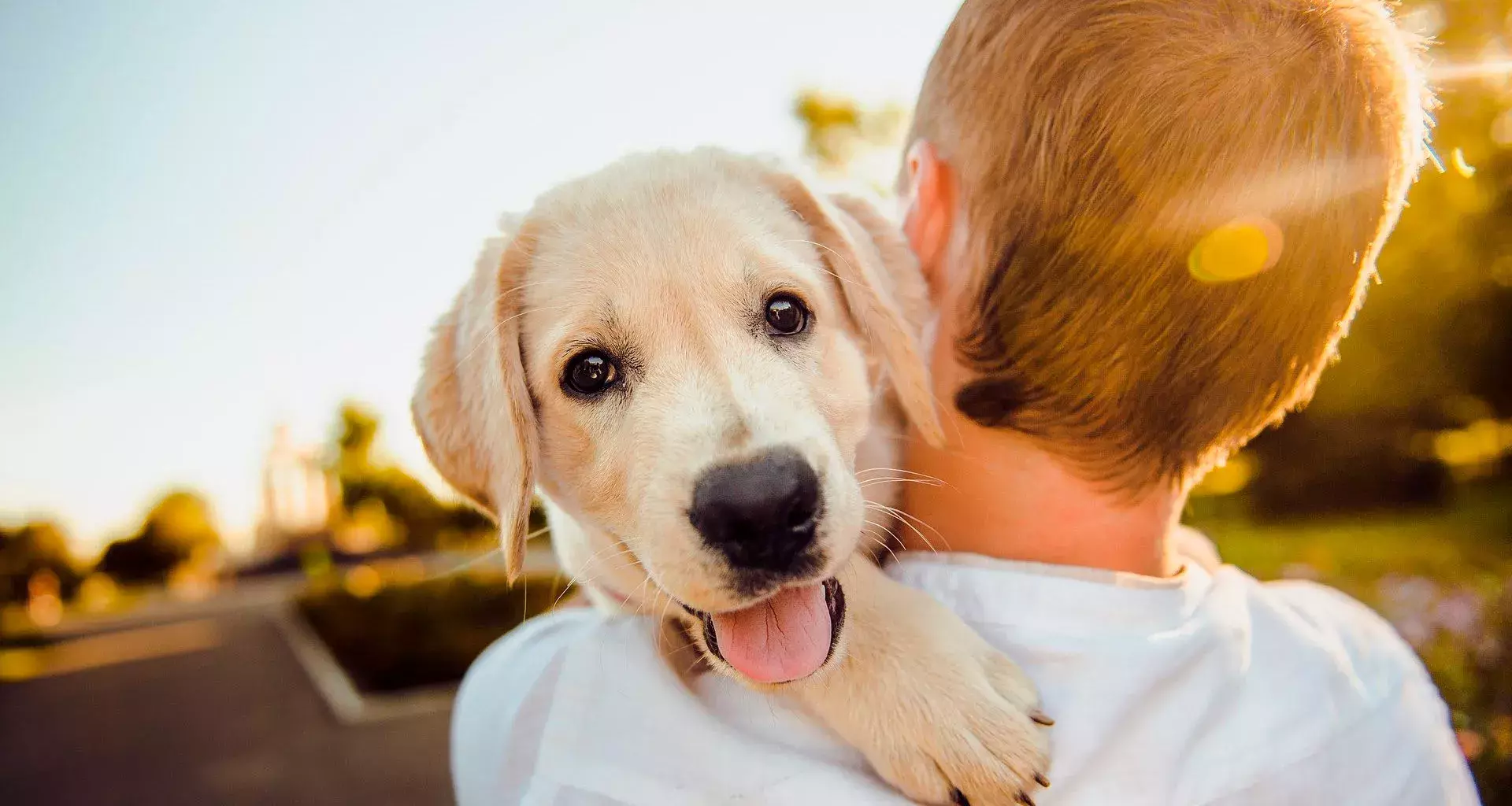 Este 14 de febrero también se celebra el amor hacia nuestras mascotas